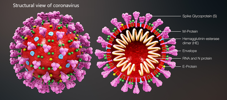 https://www.scientificanimations.com/wiki-images/, CC BY-SA 4.0