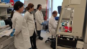 A scientists from ICCVS: dr Elżbieta Chruściel, Martyna Muszczek Ines Papak and Łukasz Arcimowicz